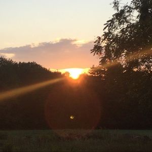 Meet your Posher, Sutton